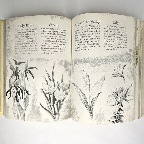 Children’s Guide To‎ Knowledge 1974 Children's Book - Picture 11 of 12